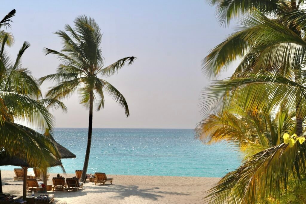 Playa de Zanzíbar, Tanzania