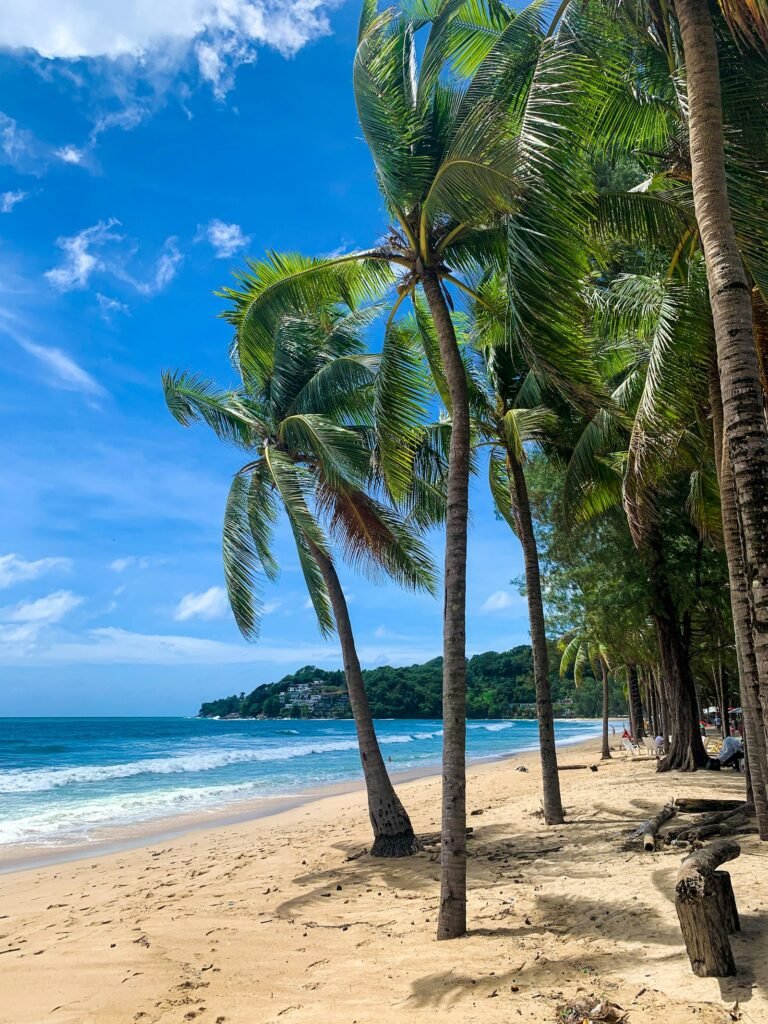 Playa tropical con palmeras en Phuket, Tailandia