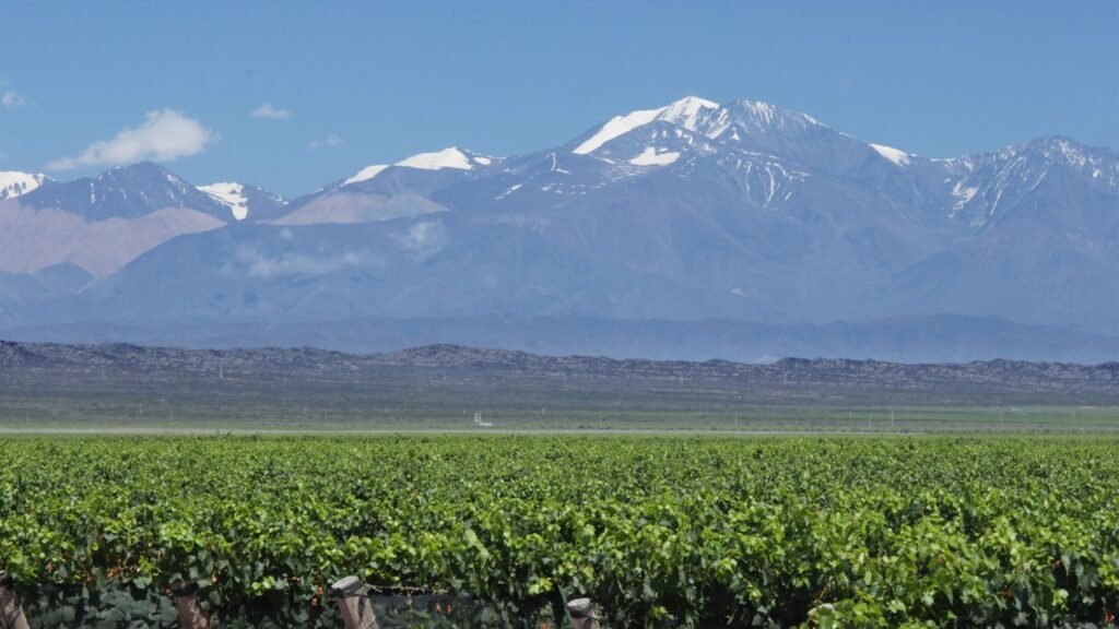 Viñedos al pie de los Andes, Mendoza